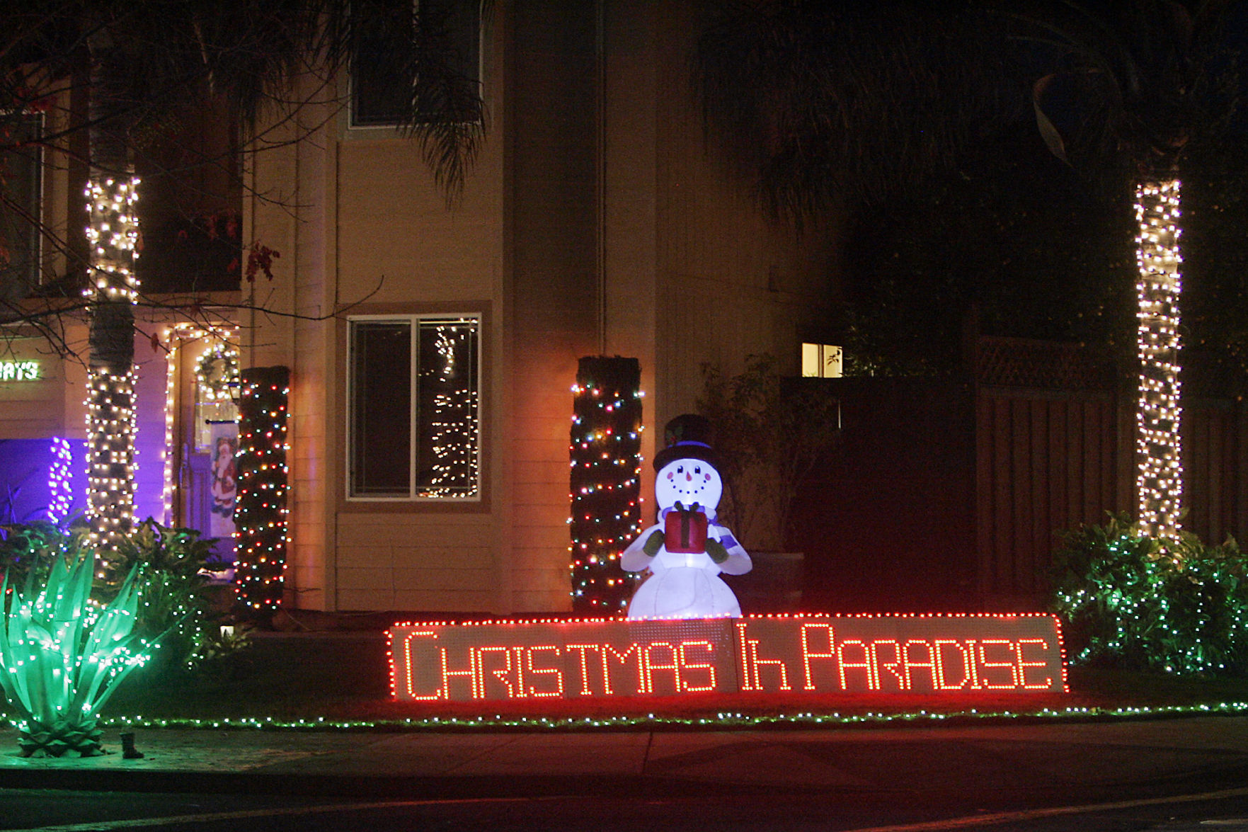 Paradise Drive Lights